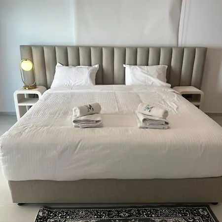 公寓 204 Lux Level2 Tower 206 尼科西亚